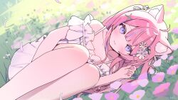 Rule 34 | 1girl, animal ears, between legs, cat ears, chamomile, collarbone, commission, day, dress, flower, grass, hair ornament, hairclip, hand between legs, highres, indie virtual youtuber, itigori ena, legs together, long hair, looking at viewer, lying, on ground, on side, outdoors, pink hair, purple eyes, skeb commission, solo, spaghetti strap, virtual youtuber, white dress, zenshin