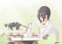 Rule 34 | 1girl, animal, arm support, black hair, blurry, bug, bush, butterfly, cat, collared shirt, cup, depth of field, from side, head rest, highres, bug, mku, mug, original, outdoors, paw print, plant, saucer, shirt, sitting, smile, solo, table, wall, wristband