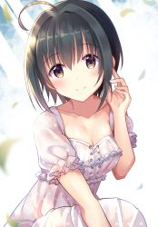 Rule 34 | 1girl, ahoge, black hair, blurry, blurry foreground, blush, breasts, brown eyes, cleavage, closed mouth, commentary request, depth of field, dress, falling leaves, hair between eyes, hair intakes, hand up, head tilt, highres, idolmaster, idolmaster cinderella girls, kohinata miho, leaf, looking at viewer, puffy short sleeves, puffy sleeves, see-through, see-through silhouette, short sleeves, small breasts, smile, solo, u rin, white dress