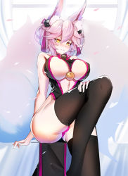 Rule 34 | 1girl, animal ear fluff, animal ears, black thighhighs, blush, breasts, center opening, china dress, chinese clothes, commentary, commentary request, dress, fate/grand order, fate (series), fox ears, fox girl, fox tail, hair ornament, indoors, koyanskaya (chinese lostbelt outfit) (fate), koyanskaya (fate), kuroha (rockluo213), large breasts, light smile, looking at viewer, panties, pink hair, pink panties, sitting, solo, tail, tamamo (fate), thighhighs, underboob, underwear, yellow eyes