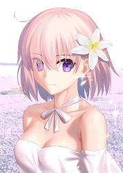 Rule 34 | 1girl, absurdres, besmiled, breasts, cleavage, closed mouth, collarbone, day, dress, earrings, eyes visible through hair, fate/grand order, fate (series), field, flower, flower field, glint, hair flower, hair ornament, hair over one eye, highres, jewelry, looking at viewer, mash kyrielight, mash kyrielight (formal dress), medium breasts, neck ribbon, off-shoulder dress, off shoulder, outdoors, pink hair, purple eyes, ribbon, short hair, sky, smile, solo, upper body, white dress, white flower, white ribbon