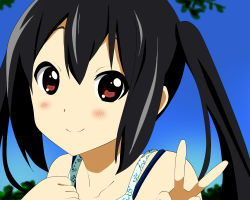 Rule 34 | 1girl, black hair, brown eyes, casual, collarbone, female focus, hanatani nina, k-on!, nakano azusa, nature, outdoors, plant, sky, smile, solo, twintails, v