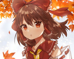 Rule 34 | 1girl, ascot, autumn, autumn leaves, blue sky, blurry, blurry background, bow, brown hair, commentary, day, detached sleeves, frilled hair tubes, frills, hair between eyes, hair blowing, hair bow, hair tubes, hakurei reimu, highres, leaf, light particles, looking at viewer, maple leaf, outdoors, parted lips, red eyes, red vest, ribbon-trimmed sleeves, ribbon trim, short hair, sky, solo, standing, suicchonsuisui, touhou, upper body, vest, yellow ascot
