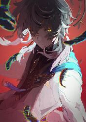 Rule 34 | 1boy, black feathers, blue pupils, coat, earrings, feathers, grey hair, halo, halo behind head, head wings, highres, honkai: star rail, honkai (series), jewelry, long sleeves, red background, shade, shaded face, shirt, simple background, solo, spiked halo, sunday (honkai: star rail), sweater vest, white coat, white sweater vest, white wings, wings, yellow eyes, yonaga tsuki25