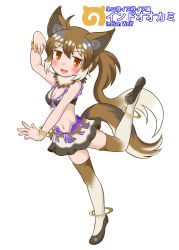 Rule 34 | 10s, 1girl, animal ears, bal panser, blush, bracelet, brown hair, dancing, fang, full body, fur trim, highres, indian wolf (kemono friends), japari symbol, jewelry, kemono friends, long hair, midriff, multicolored hair, navel, open mouth, orange eyes, ponytail, simple background, solo, tail, thighhighs, two-tone hair, white background, white hair, wolf ears, wolf tail