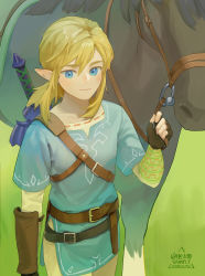 Rule 34 | 1boy, animal, belt, blonde hair, blue eyes, blue tunic, brown gloves, fingerless gloves, gloves, grass, highres, horse, link, long sleeves, multiple belts, nintendo, phina (jinahou), pointy ears, solo, sword, the legend of zelda, the legend of zelda: breath of the wild, weapon, weapon on back