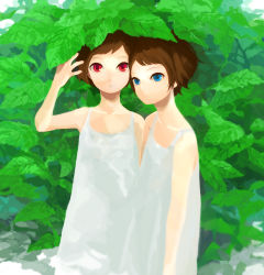 Rule 34 | 2girls, arm up, bad id, bad pixiv id, blue eyes, brown hair, bush, dappled sunlight, dress, leaf, looking at viewer, mitsui, multiple girls, original, parted lips, plant, red eyes, short hair, siblings, sisters, sundress, sunlight, twins, white dress