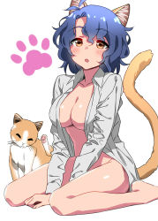 Rule 34 | 10s, 1girl, :d, animal ears, bad id, bad pixiv id, barefoot, between legs, blue hair, bottomless, breasts, brown eyes, cat, cat ears, cat tail, cleavage, dress shirt, hand between legs, idolmaster, idolmaster million live!, large breasts, naked shirt, open clothes, open mouth, open shirt, shirt, short hair, smile, solo, sonsoso, tail, toyokawa fuka