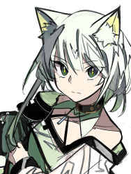 Rule 34 | 1girl, animal ear fluff, animal ears, arknights, bare shoulders, closed mouth, collarbone, dress, green dress, green eyes, grey hair, hair between eyes, highres, jacket, kal&#039;tsit (arknights), long sleeves, looking at viewer, off-shoulder jacket, off shoulder, simple background, solo, tetuw, upper body, white background, white jacket