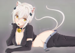 Rule 34 | 1girl, animal ears, bell, belt, black gloves, black pants, breasts, cat ears, cat girl, cat hair ornament, cat tail, collar, commentary, crop top, elbow gloves, english commentary, gloves, grey background, hair ornament, high school dxd, looking at viewer, lying, multiple tails, neck bell, on stomach, pants, short hair, silver hair, small breasts, solo, souryu 1231, tail, toujou koneko, undressing, yellow eyes