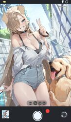 Rule 34 | 1girl, absurdres, asuna (blue archive), blue archive, blue eyes, blue ribbon, blush, breasts, cellphone photo, dog, grin, hair over one eye, hair ribbon, halo, highres, large breasts, light brown hair, long hair, looking at viewer, netural, ribbon, smile, very long hair