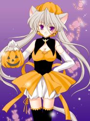 Rule 34 | 1girl, amou mari, animal ears, black thighhighs, bloomers, breasts, candy, cat ears, cat tail, cleavage, detached collar, elbow gloves, food, gloves, halloween, hand on own hip, jack-o&#039;-lantern, long hair, medium breasts, pumpkin, purple background, purple eyes, smile, solo, tail, thighhighs, twintails, underwear, white bloomers, white gloves, white hair
