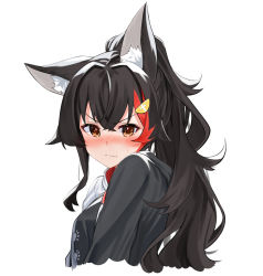 Rule 34 | 1girl, animal ear fluff, animal ears, black hair, black hoodie, blush, brown eyes, closed mouth, commentary request, cropped torso, daichi (daichi catcat), hair ornament, hairclip, highres, hololive, hood, hoodie, long hair, looking at viewer, multicolored hair, ookami mio, ookami mio (casual), ponytail, red hair, simple background, solo, streaked hair, upper body, v-shaped eyebrows, virtual youtuber, white background, wolf ears
