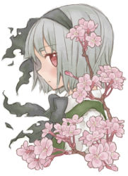 Rule 34 | 1girl, bad id, bad pixiv id, cherry blossoms, female focus, flower, grey hair, gyokuto, hairband, konpaku youmu, nature, plant, red eyes, simple background, solo, touhou, upper body, white background