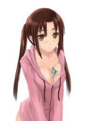 Rule 34 | 1girl, absurdres, between breasts, blush, breasts, brown eyes, brown hair, ccjn, cleavage, highres, hood, hoodie, large breasts, long hair, looking at viewer, money, open mouth, seitokai yakuindomo, simple background, solo, tsuda kotomi, tucked money, twintails, white background
