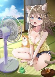 Rule 34 | 1girl, ahoge, akino ell, animal, animal ear fluff, animal ears, bare arms, bare shoulders, barefoot, black shorts, blue eyes, breasts, brown hair, camisole, cat, cat ears, cat girl, cat tail, cleavage, collarbone, covered erect nipples, cup, dolphin shorts, electric fan, hair ornament, hairclip, highres, hot, indian style, long hair, medium breasts, open mouth, original, shirt, short shorts, shorts, sitting, sleeveless, sleeveless shirt, solo, spaghetti strap, summer, sunlight, sweat, tail, tatami, thighs, v arms, veranda, yellow shirt