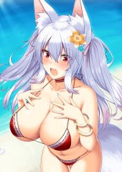 Rule 34 | 1girl, absurdres, animal ear fluff, animal ears, bangle, beach, bikini, blush, borrowed character, bracelet, breasts, cleavage, cowboy shot, day, embarrassed, fang, fox ears, fox girl, fox tail, gold, hair between eyes, hair ribbon, highres, jewelry, large breasts, long hair, looking at viewer, navel, ocean, open mouth, original, outdoors, purple hair, red bikini, red eyes, ribbon, sand, solo, swimsuit, tail, two side up, wet, yashiro sousaku