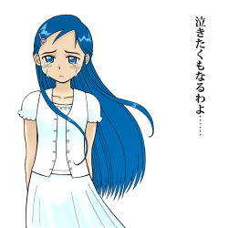 Rule 34 | 00s, blue eyes, blue hair, futari wa precure, lowres, precure, tears, yukishiro honoka