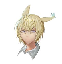 Rule 34 | 1boy, absurdres, animal ears, blonde hair, bug, butterfly, cat ears, final fantasy, final fantasy xiv, highres, insect, lumeru 33, male focus, miqo&#039;te, portrait, purple eyes, sideways glance, simple background, solo, warrior of light (ff14), white background