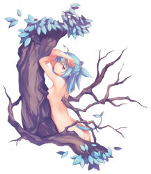 Rule 34 | 1girl, against tree, ahoge, armpits, arms up, ass, blue hair, breasts, come hither, convenient censoring, crossed arms, dryad, half-closed eyes, monster girl, nanakusa, nude, plant girl, red eyes, seductive gaze, small breasts, solo, tail, tree