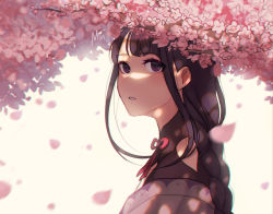 Rule 34 | 1girl, artist name, cherry blossoms, commentary, english commentary, falling petals, flower, from side, genshin impact, highres, japanese clothes, long hair, looking at viewer, minchik, mole, mole under eye, open mouth, petals, pink flower, purple eyes, purple hair, raiden shogun, ribbon, simple background, solo, white background