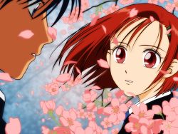 Rule 34 | 1990s (style), arima souichirou, cherry blossoms, kareshi kanojo no jijou, miyazawa yukino, red eyes, red hair, short hair, vector trace