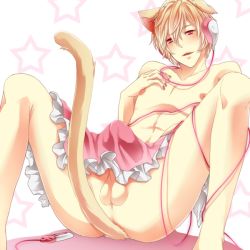 Rule 34 | 1boy, animal ears, ass, cat boy, cat ears, cat tail, male focus, solo, tagme, tail, testicles, white background