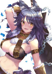 Rule 34 | 1girl, absurdres, animal ear fluff, animal ears, arm strap, bare shoulders, breasts, cleavage, collar, commentary, commentary request, cygames, fang, fur-trimmed shorts, fur trim, highres, huge weapon, large breasts, looking at viewer, makoto (princess connect!), metal collar, moco1031, open mouth, princess connect!, purple shorts, shorts, simple background, solo, sword, weapon, weapon on back, white background, wolf ears, wolf girl