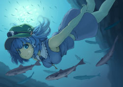 Rule 34 | 1girl, air bubble, blue eyes, blue hair, breath, bubble, diving, female focus, fish, freediving, hair bobbles, hair ornament, hat, kawashiro nitori, key, kuro oolong, looking at viewer, matching hair/eyes, sleeveless, smile, solo, swimming, touhou, twintails, two side up, underwater