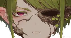 Rule 34 | 1boy, closed mouth, colored eyelashes, frown, green hair, hollow eyes, leaf, looking at viewer, male focus, missing eye, monster boy, original, plant boy, portrait, red eyes, ryota (ry o ta), short hair, signature, simple background, solo, swept bangs, white background, wood