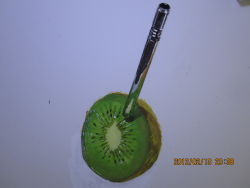 Rule 34 | 2012, absurdres, artist request, dated, food, fruit, highres, kiwi (fruit), no humans, original, photo (medium), realistic, reflection, shadow, simple background, still life, tagme, timestamp, traditional media, white background
