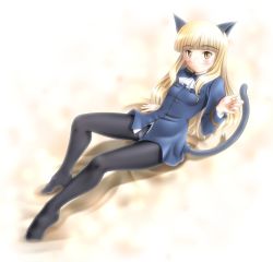 Rule 34 | 1girl, animal ears, black pantyhose, blonde hair, blush, cat ears, cat tail, crotch seam, glasses, legs, long hair, lying, military, military uniform, mushoku no hourousha, panties, panties under pantyhose, pantyhose, perrine h. clostermann, smile, solo, strike witches, tail, underwear, uniform, world witches series, yellow eyes