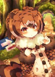 Rule 34 | 10s, 1girl, :&lt;, arrow (symbol), bird tail, black hair, blush, brown coat, brown eyes, brown hair, closed mouth, coat, eurasian eagle owl (kemono friends), fingernails, fur-trimmed sleeves, fur trim, head wings, highres, index finger raised, kemono friends, long sleeves, looking at viewer, multicolored hair, muuran, outdoors, pocket, sign, signature, solo, sunset, tail, white hair, wings