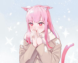 Rule 34 | 1girl, animal ears, blush, brown coat, cat ears, cat tail, coat, commentary, english commentary, gradient background, highres, hololive, hololive english, kemonomimi mode, mori calliope, nuebunny, own hands together, pink hair, red eyes, scarf, simple background, snowflakes, solo, tail, upper body, virtual youtuber, warming hands, white scarf