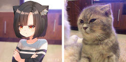 Rule 34 | 1girl, animal ear fluff, animal ears, black hair, black shirt, blunt bangs, blurry, blurry background, cabinet, cat, cat ears, commentary, crossed arms, eki doki, highres, indoors, instagram username, long sleeves, looking away, original, personification, photo-referenced, photo (medium), photo background, photo inset, pout, red eyes, shirt, short hair, television, upper body, v-shaped eyebrows, white shirt