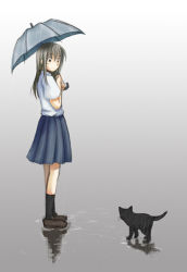 Rule 34 | cat, hirono, original, rain, school uniform, serafuku, solo, umbrella
