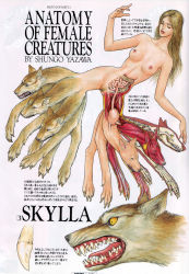 Rule 34 | breasts, greece, greek mythology, monster girl, mythology, scylla, shungo yazawa, tagme, text focus, translation request, x-ray