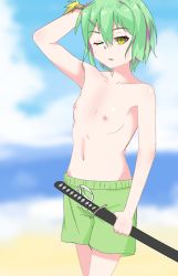 Rule 34 | 1girl, artist request, beach, blue sky, blurry, blurry background, breasts, cowboy shot, day, drawstring, female focus, green hair, green male swimwear, green swim trunks, holding, holding sword, holding weapon, male swimwear, male swimwear challenge, nipples, ocean, one eye closed, original, shiny skin, short hair, sky, small breasts, solo, source request, swim trunks, swimsuit, sword, topless, water, weapon, yellow eyes