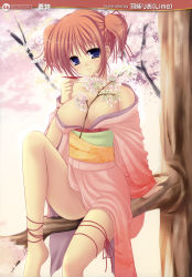 Rule 34 | 1girl, absurdres, blue eyes, breasts, brown hair, cleavage, flower, hazumi rio, highres, japanese clothes, kimono, non-web source, ribbon, solo, source request, tree