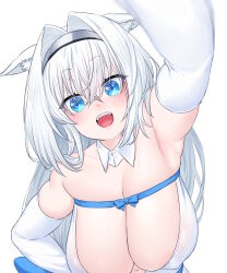 Rule 34 | 1girl, animal ear fluff, animal ears, arm up, armpits, bare shoulders, blue bow, blue eyes, blue ribbon, blush, bow, breasts, cat ears, cat girl, cleavage, detached collar, detached sleeves, dobrynya nikitich (fate), dobrynya nikitich (second ascension) (fate), dress, fate/grand order, fate (series), hair bow, hairband, head pat, highres, large breasts, long hair, looking at viewer, onsoku inu, open mouth, pov, ribbon, smile, solo, variant set, white dress, white hair