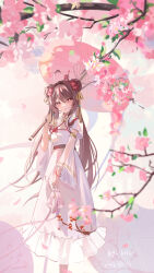 Rule 34 | 1girl, ahoge, alternate costume, artist name, bag, branch, breasts, brown hair, cherry blossoms, chinese clothes, closed mouth, dated, detached sleeves, double bun, dress, falling petals, feet out of frame, flower, flower-shaped pupils, frilled dress, frills, genshin impact, hair bun, hair flower, hair ornament, highres, holding, holding bag, holding umbrella, hu tao (genshin impact), kinchaku, long hair, long sleeves, looking at viewer, mandarin collar, miaogujun, oil-paper umbrella, petals, pink flower, plum blossoms, pouch, red eyes, sash, see-through, see-through sleeves, sidelocks, small breasts, solo, standing, symbol-shaped pupils, tassel, tassel hair ornament, tree, twintails, umbrella, white dress, white flower, wide sleeves