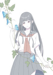 Rule 34 | 1girl, blue flower, blunt bangs, breasts, brown eyes, brown neckerchief, closed mouth, colored skin, cowboy shot, flower, grey hair, grey sailor collar, highres, hime cut, holding, long hair, looking to the side, medium breasts, natuich, neckerchief, original, plant, pleated skirt, sailor collar, school uniform, serafuku, sidelocks, simple background, skirt, smile, solo, standing, vines, white background, white serafuku, white skin