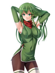 Rule 34 | 1girl, absurdres, armpits, arms up, breasts, closed mouth, elbow gloves, fire emblem, fire emblem: mystery of the emblem, gloves, green eyes, green gloves, green hair, highres, large breasts, long hair, nintendo, palla (fire emblem), pantyhose, simple background, solo, tamamon, thighhighs, white background