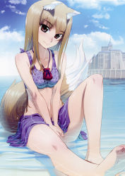 Rule 34 | 1girl, absurdres, animal ear fluff, animal ears, barefoot, brown hair, caustics, contemporary, day, fang, feet, highres, holo, jewelry, jpeg artifacts, koume keito, long hair, outdoors, pendant, red eyes, scan, sitting, soles, solo, spice and wolf, submerged, tail, tank top, toes, v arms, water, wolf ears, wolf tail