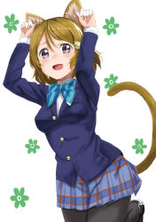 Rule 34 | 10s, 1girl, animal ears, arms up, black pantyhose, blazer, blush, breasts, brown hair, cat ears, cat tail, cowboy shot, hair ornament, hairclip, jacket, kemonomimi mode, koizumi hanayo, looking at viewer, love live!, love live! school idol project, open mouth, pantyhose, paw pose, purple eyes, school uniform, short hair, small breasts, solo, tail, tetsujin momoko, tongue, white background