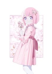 Rule 34 | 1girl, aged down, alternate costume, blue eyes, blurry, blurry background, blush, border, braid, cherry blossoms, commentary, dress, feet out of frame, floral background, flower, frilled dress, frills, from side, hair flower, hair ornament, hair over shoulder, hand up, highres, holding, holding flower, kaf (kamitsubaki studio), kamitsubaki studio, long sleeves, looking at viewer, looking to the side, multicolored eyes, outside border, pantyhose, photo background, pink dress, pink flower, pink hair, polka dot, polka dot dress, red eyes, red sash, ryuuforkaf, sash, smile, solo, symbol-only commentary, white border, white pantyhose, yellow pupils