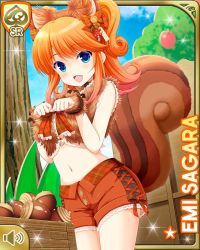 Rule 34 | 1girl, acorn, animal ears, blue eyes, bow, breasts, brown bow, card (medium), character name, crate, day, fake animal ears, fake tail, furred cuffs, furry vest, girlfriend (kari), hair ornament, indoors, large breasts, navel, official art, open mouth, orange hair, qp:flapper, sagara emi, school, school play, shorts, smile, squirrel ears, squirrel tail, tagme, tail, tree, twintails, wrist cuffs