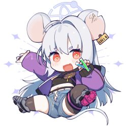 Rule 34 | 1girl, animal ears, asymmetrical legwear, black socks, black thighhighs, blue archive, blue shorts, blush, ear tag, full body, grey hair, halo, highres, hufy, jacket, kneehighs, long hair, mismatched legwear, mouse ears, mouse tail, navel, official alternate costume, open clothes, open fly, open jacket, open mouth, purple jacket, red eyes, saya (blue archive), saya (casual) (blue archive), shorts, simple background, single kneehigh, single sock, single thighhigh, smile, socks, solo, tail, thighhighs, white background