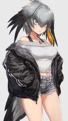 Rule 34 | 10s, 1girl, alternate costume, bare legs, bare shoulders, belt, bird tail, bird wings, bra, bra strap, breasts, casual, collarbone, contemporary, contrapposto, cowboy shot, crop top, dog tags, earrings, feathered wings, green eyes, grey background, grey hair, grey shorts, guchico, hair between eyes, head wings, jacket, jewelry, kemono friends, legs, looking at viewer, low ponytail, medium breasts, midriff, multicolored hair, navel, necklace, off shoulder, open clothes, open jacket, orange hair, pants, pocket, ribbed sweater, shoebill (kemono friends), short hair, short shorts, shorts, side ponytail, simple background, solo, standing, staring, stomach, sweater, tail, thighs, torn clothes, torn pants, torn shorts, underwear, wide-eyed, wings