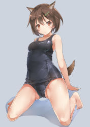Rule 34 | 10s, 1girl, adosan, adosan (horaizon1211), ahoge, animal ear fluff, animal ears, barefoot, blush, brave witches, breasts, brown eyes, brown hair, cameltoe, full body, grey background, hair ornament, hairclip, karibuchi hikari, kneeling, looking at viewer, matching hair/eyes, medium breasts, old school swimsuit, one-piece swimsuit, school swimsuit, shiny skin, short hair, simple background, smile, solo, spread legs, squirrel ears, squirrel tail, strike witches, swimsuit, tail, world witches series